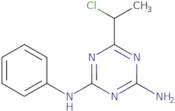 6-(1-Chloroethyl)-4-(phenylimino)-1,4-dihydro-1,3,5-triazin-2-amine