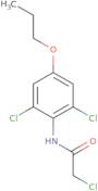 2-Chloro-N-(2,6-dichloro-4-propoxyphenyl)acetamide