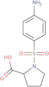 1-(4-Amino-benzenesulfonyl)-pyrrolidine-2-carboxylic acid