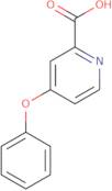 4-Phenoxypyridine-2-carboxylic acid