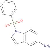 1-(Benzenesulfonyl)indol-5-amine
