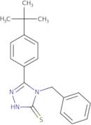 4-Benzyl-5-(4-tert-butylphenyl)-4H-1,2,4-triazole-3-thiol