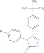 4-(4-Bromophenyl)-5-(4-tert-butylphenyl)-4H-1,2,4-triazole-3-thiol