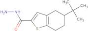 5-tert-Butyl-4,5,6,7-tetrahydro-1-benzothiophene-2-carbohydrazide