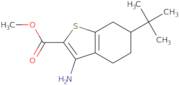 Methyl 3-amino-6-tert-butyl-4,5,6,7-tetrahydro-1-benzothiophene-2-carboxylate