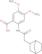 2-(2-{Bicyclo[2.2.1]heptan-2-yl}acetamido)-4,5-dimethoxybenzoic acid