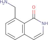 8-(Aminomethyl)-1,2-dihydroisoquinolin-1-one