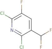 2,6-Dichloro-3-(difluoromethyl)-5-fluoro-pyridine
