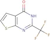 2-(Trifluoromethyl)-3H,4H-thieno[2,3-d]pyrimidin-4-one