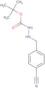 N'-[(4-Cyanophenyl)methyl](tert-butoxy)carbohydrazide