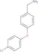 [4-(4-chlorophenoxy)phenyl]methanamine