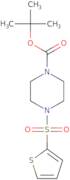 1-BOC-4-(thiophene-2-sulfonyl)piperazine