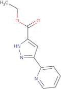 Ethyl 3-(2-pyridinyl)-1H-pyrazole-5-carboxylate