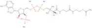 02:0 Coenzyme A