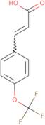 3-[4-(Trifluoromethoxy)phenyl]prop-2-enoic acid
