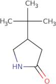 4-tert-Butylpyrrolidin-2-one