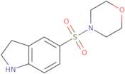 5-(Morpholine-4-sulfonyl)-2,3-dihydro-1H-indole