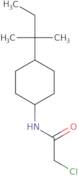 2-Chloro-N-[4-(2-methylbutan-2-yl)cyclohexyl]acetamide