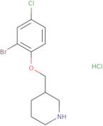 [1-(2-Amino-ethyl)-piperidin-4-yl]-methyl-carbamic acid tert-butyl ester