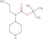 tert-Butyl N-(piperidin-4-yl)-N-propylcarbamate