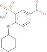 2-(Cyclohexylamino)-5-nitrobenzene-1-sulfonamide