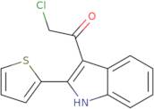 2-Chloro-1-(2-thien-2-yl-1H-indol-3-yl)ethanone