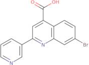 7-Bromo-2-(pyridin-3-yl)quinoline-4-carboxylic acid