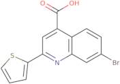 7-Bromo-2-thien-2-ylquinoline-4-carboxylic acid