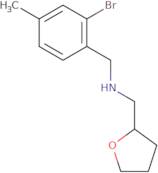 [(2-Bromo-4-methylphenyl)methyl](oxolan-2-ylmethyl)amine