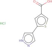 5-(1H-Pyrazol-4-yl)thiophene-3-carboxylic acid hydrochloride