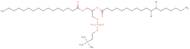 1-Palmitoyl-2-(11,12-dibromo)stearoyl-sn-glycero-3-phosphocholine