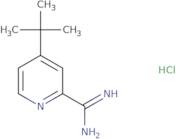 4-(tert-Butyl)picolinimidamide hydrochloride