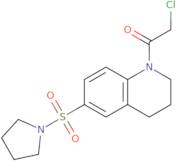 2-Chloro-1-[6-(pyrrolidine-1-sulfonyl)-1,2,3,4-tetrahydroquinolin-1-yl]ethan-1-one