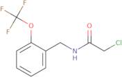 2-Chloro-N-{[2-(trifluoromethoxy)phenyl]methyl}acetamide