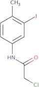 2-Chloro-N-(3-iodo-4-methylphenyl)acetamide