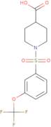 1-[3-(Trifluoromethoxy)benzenesulfonyl]piperidine-4-carboxylic acid