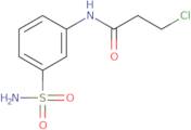 3-Chloro-N-(3-sulfamoylphenyl)propanamide
