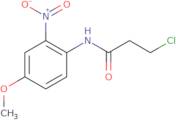 3-Chloro-N-(4-methoxy-2-nitrophenyl)propanamide