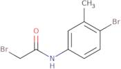 2-Bromo-N-(4-bromo-3-methylphenyl)acetamide