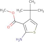 Methyl 2-amino-4-tert-butylthiophene-3-carboxylate