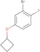 2-Bromo-4-cyclobutoxy-1-fluorobenzene