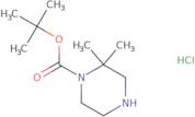 tert-Butyl 2,2-Dimethylpiperazine-1-carboxylate Hydrochloride