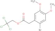 2,2,2-Trichloroethyl 2-(2-bromo-4,5-dimethoxyphenyl)acetate