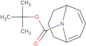 (S)-tert-Butyl 9-azabicyclo[3.3.1]nona-2,4-diene-9-carboxylate