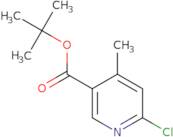 tert-Butyl 6-chloro-4-methylnicotinate