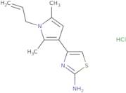 4-[2,5-Dimethyl-1-(prop-2-en-1-yl)-1H-pyrrol-3-yl]-1,3-thiazol-2-amine hydrochloride