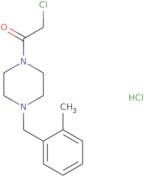 2-Chloro-1-{4-[(2-methylphenyl)methyl]piperazin-1-yl}ethan-1-one hydrochloride