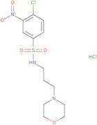 4-Chloro-N-(3-morpholin-4-ylpropyl)-3-nitrobenzenesulfonamide hydrochloride