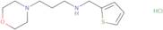 [3-(Morpholin-4-yl)propyl](thiophen-2-ylmethyl)amine hydrochloride