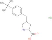 (R)-γ-(4-tert-butyl-benzyl)-L-proline-hydrochloride